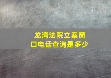 龙湾法院立案窗口电话查询是多少