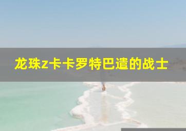 龙珠z卡卡罗特巴遣的战士