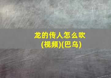 龙的传人怎么吹(视频)(巴乌)