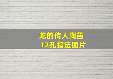 龙的传人陶笛12孔指法图片