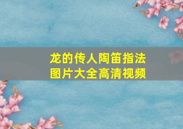 龙的传人陶笛指法图片大全高清视频