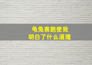 龟兔赛跑使我明白了什么道理