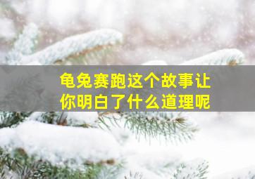 龟兔赛跑这个故事让你明白了什么道理呢