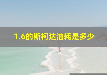 1.6的斯柯达油耗是多少