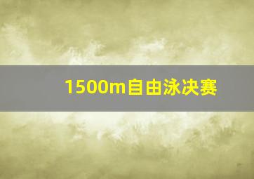 1500m自由泳决赛