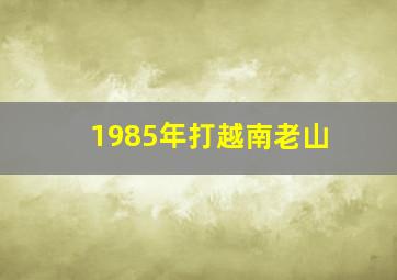 1985年打越南老山