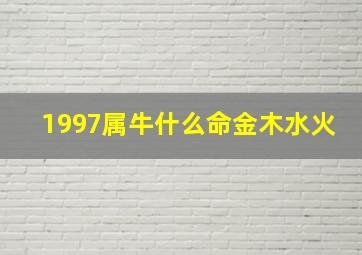 1997属牛什么命金木水火