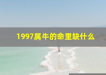 1997属牛的命里缺什么