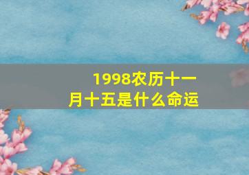 1998农历十一月十五是什么命运