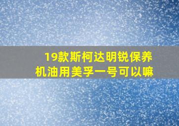 19款斯柯达明锐保养机油用美孚一号可以嘛