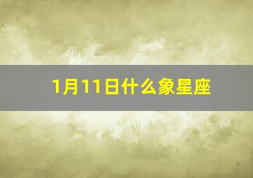 1月11日什么象星座