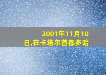 2001年11月10日,在卡塔尔首都多哈