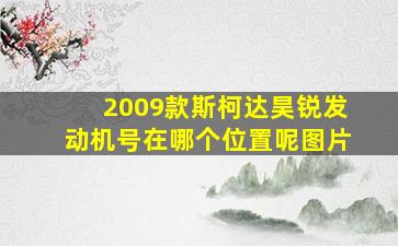 2009款斯柯达昊锐发动机号在哪个位置呢图片