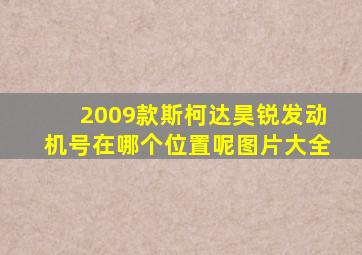 2009款斯柯达昊锐发动机号在哪个位置呢图片大全