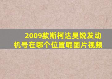 2009款斯柯达昊锐发动机号在哪个位置呢图片视频