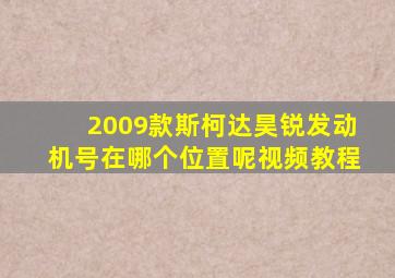 2009款斯柯达昊锐发动机号在哪个位置呢视频教程