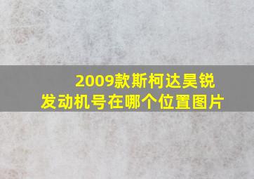 2009款斯柯达昊锐发动机号在哪个位置图片