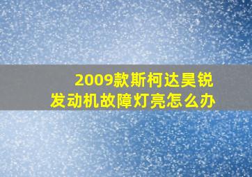 2009款斯柯达昊锐发动机故障灯亮怎么办