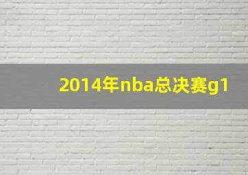 2014年nba总决赛g1