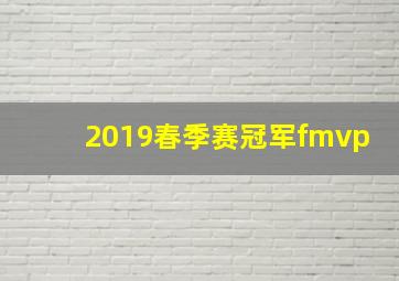 2019春季赛冠军fmvp