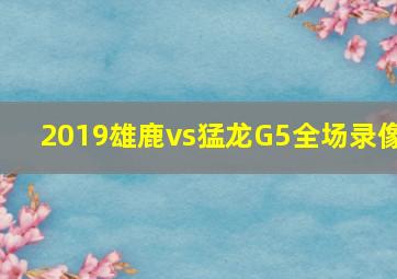 2019雄鹿vs猛龙G5全场录像