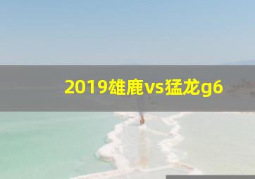 2019雄鹿vs猛龙g6