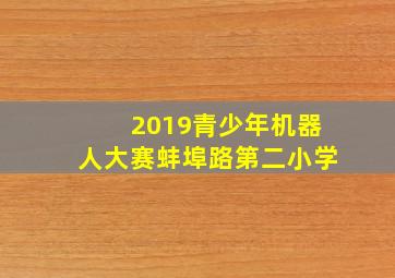 2019青少年机器人大赛蚌埠路第二小学