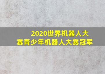 2020世界机器人大赛青少年机器人大赛冠军