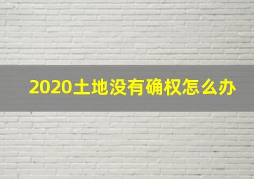 2020土地没有确权怎么办