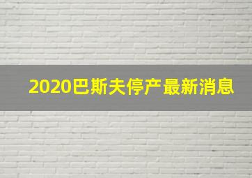 2020巴斯夫停产最新消息