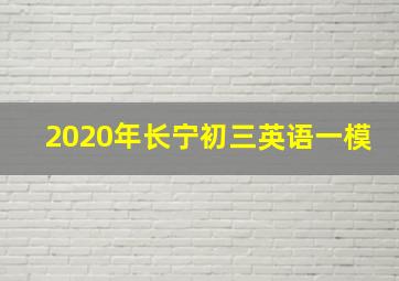 2020年长宁初三英语一模