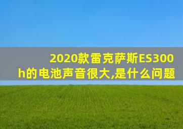 2020款雷克萨斯ES300h的电池声音很大,是什么问题