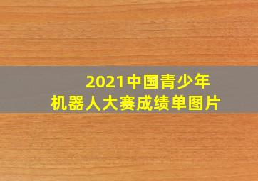 2021中国青少年机器人大赛成绩单图片