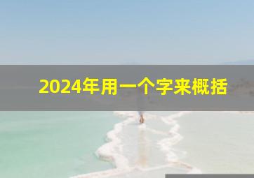 2024年用一个字来概括