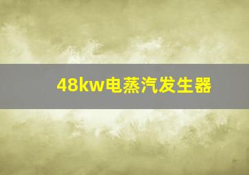 48kw电蒸汽发生器