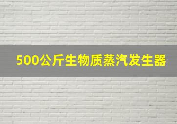 500公斤生物质蒸汽发生器