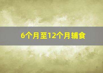 6个月至12个月辅食