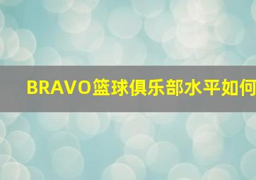 BRAVO篮球俱乐部水平如何