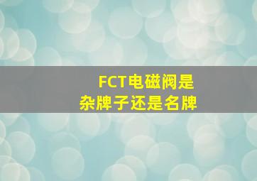 FCT电磁阀是杂牌子还是名牌