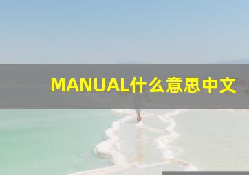 MANUAL什么意思中文