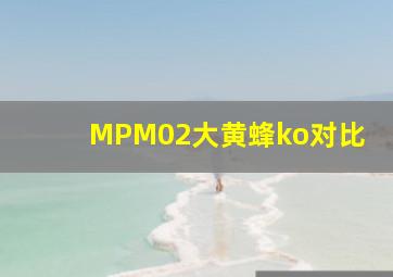 MPM02大黄蜂ko对比