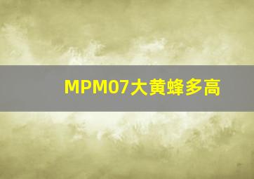 MPM07大黄蜂多高