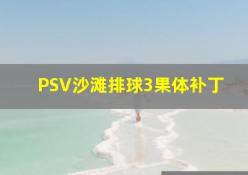 PSV沙滩排球3果体补丁