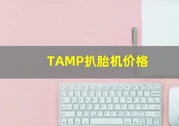 TAMP扒胎机价格