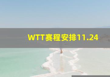 WTT赛程安排11.24