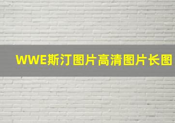 WWE斯汀图片高清图片长图