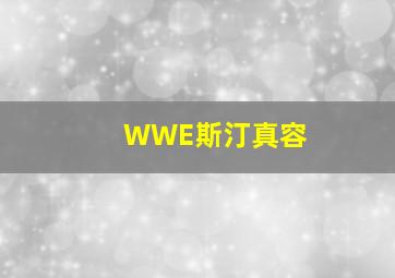 WWE斯汀真容