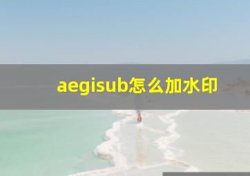 aegisub怎么加水印