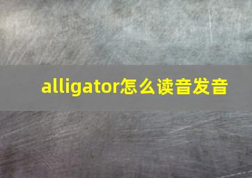 alligator怎么读音发音