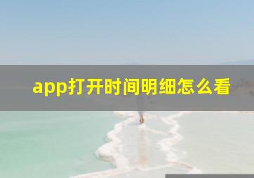 app打开时间明细怎么看